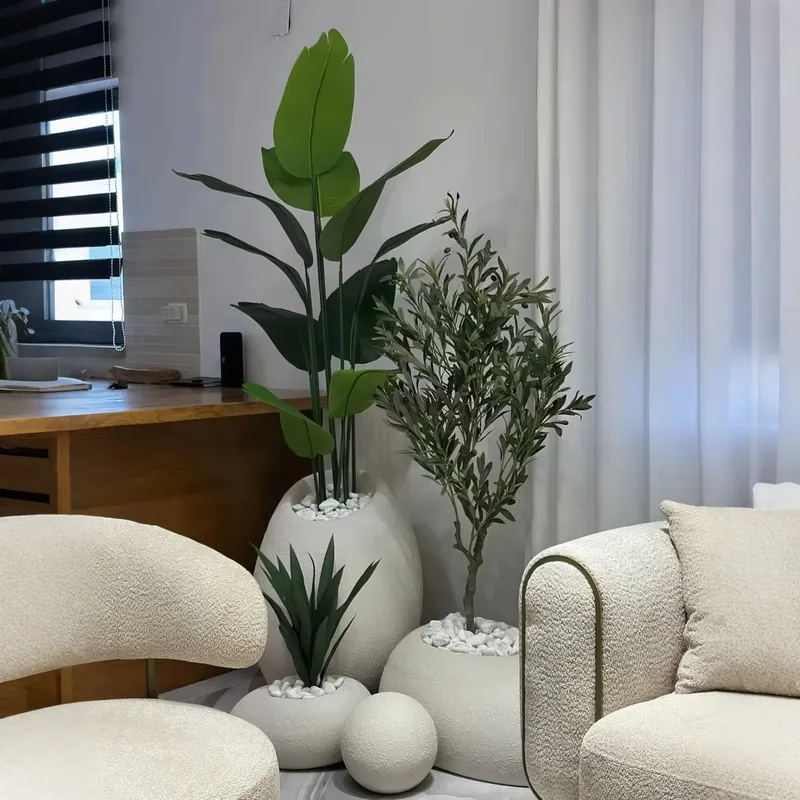 สร้างสวนสวรรค์ของคุณด้วยต้นบอน - Interior Design Your Home บทวิจารณ์และราคา