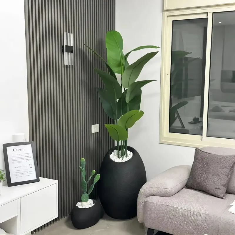 สร้างสวนสวรรค์ของคุณด้วยต้นบอน - Interior Design Your Home บทวิจารณ์และราคา