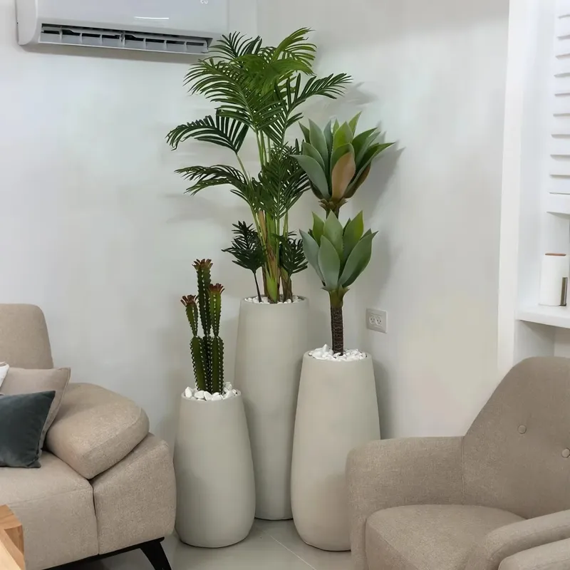 สร้างสวนสวรรค์ของคุณด้วยต้นบอน - Interior Design Your Home บทวิจารณ์และราคา